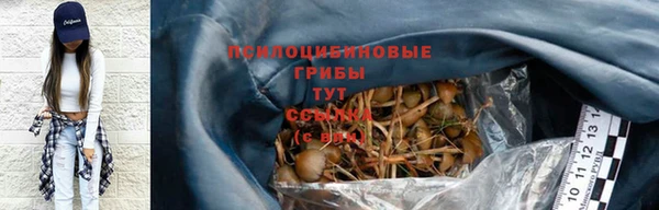 спайс Новозыбков