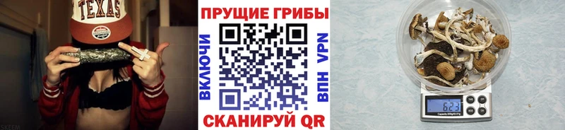 Галлюциногенные грибы Psilocybe  Комсомольск 